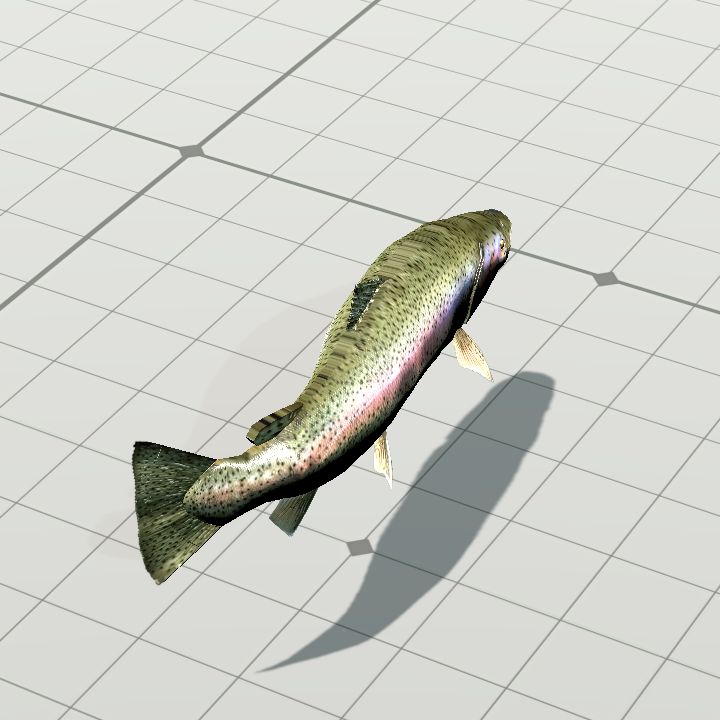 Fish, Rainbow Trout {Animated}