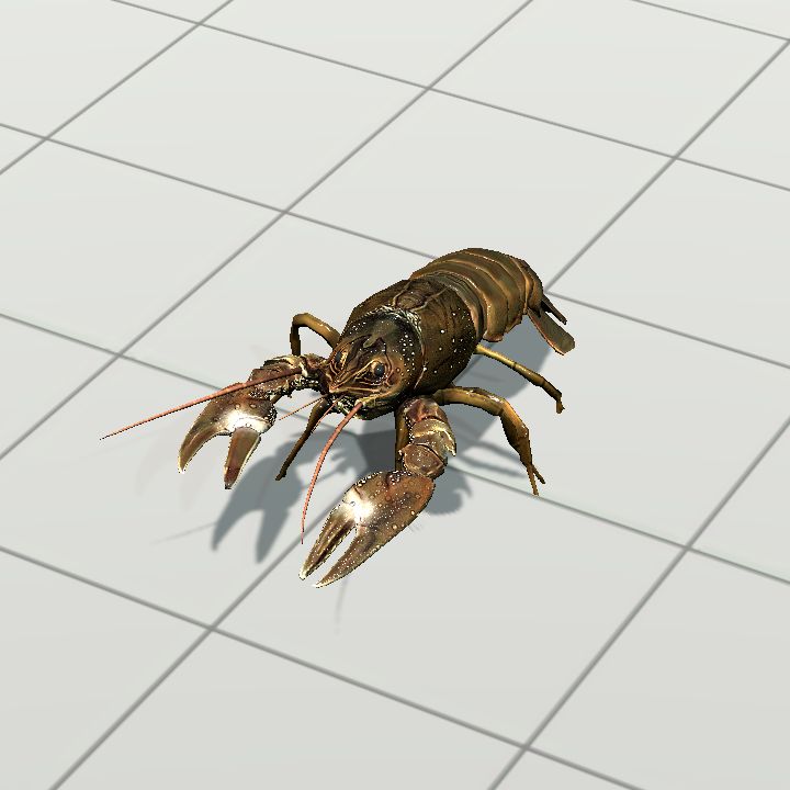 Crayfish {Animated}