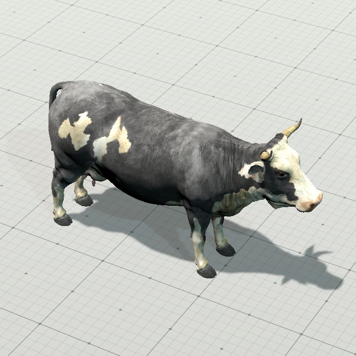 Cow #2