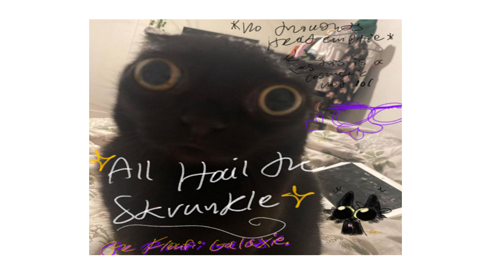 Jinx The Skrunkly Cat lol :3