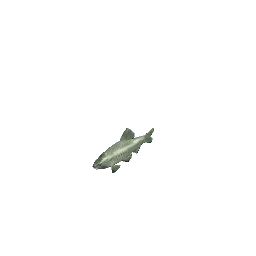 Barb - Small Silver