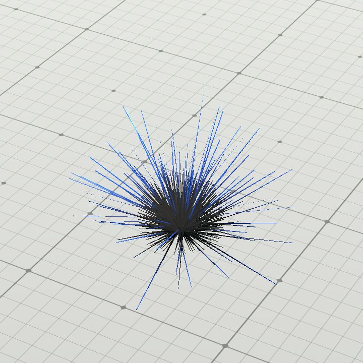 anemone