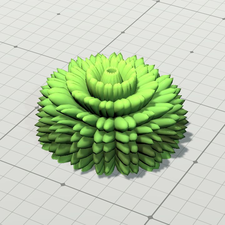 anemone 3