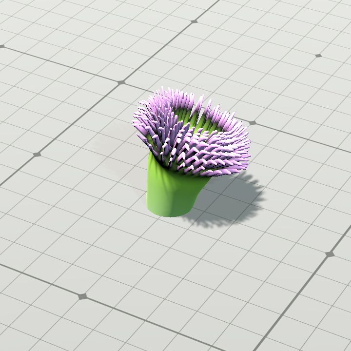 anemone 5