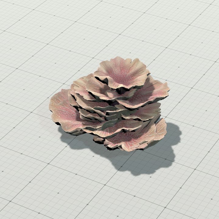 Coral1