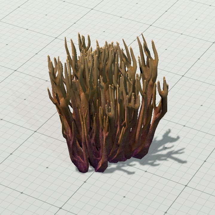 Coral2