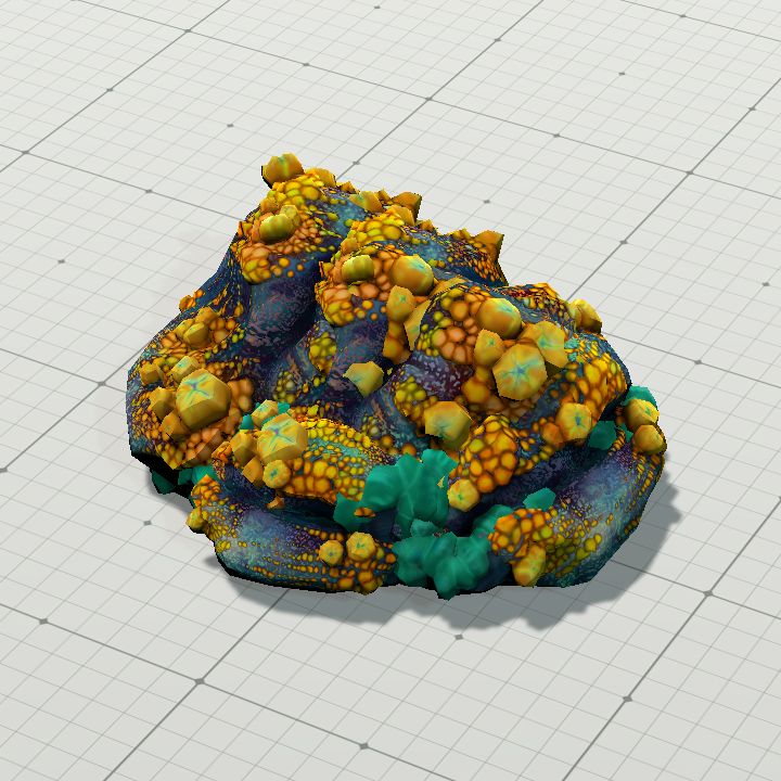 Coraltussocks4