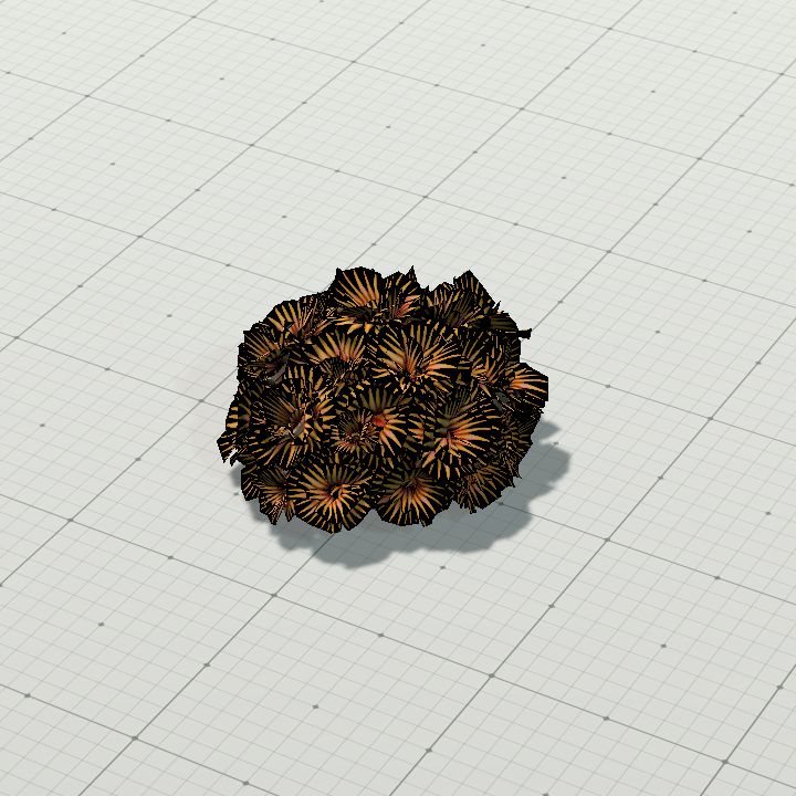 Coraltussockstentacle