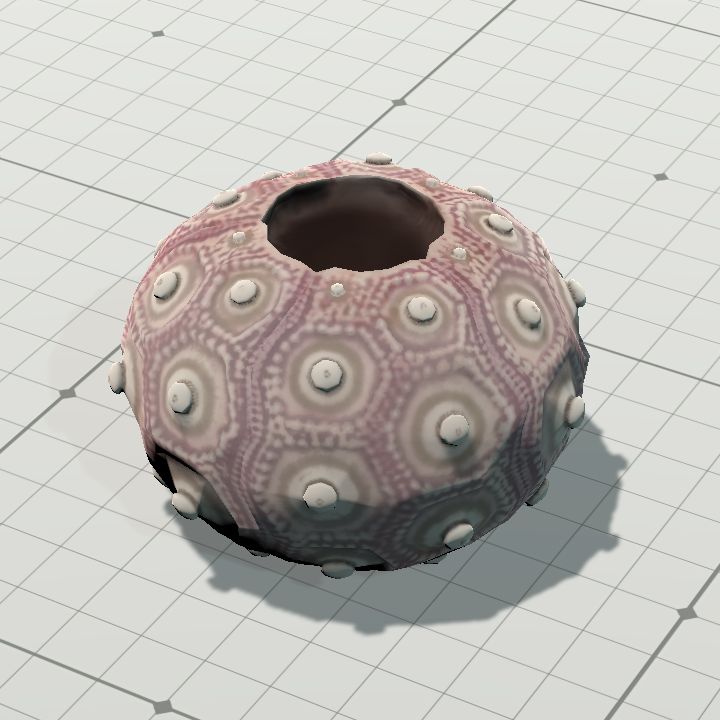 Shell1