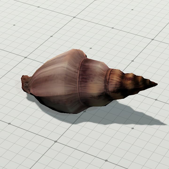 Shell2
