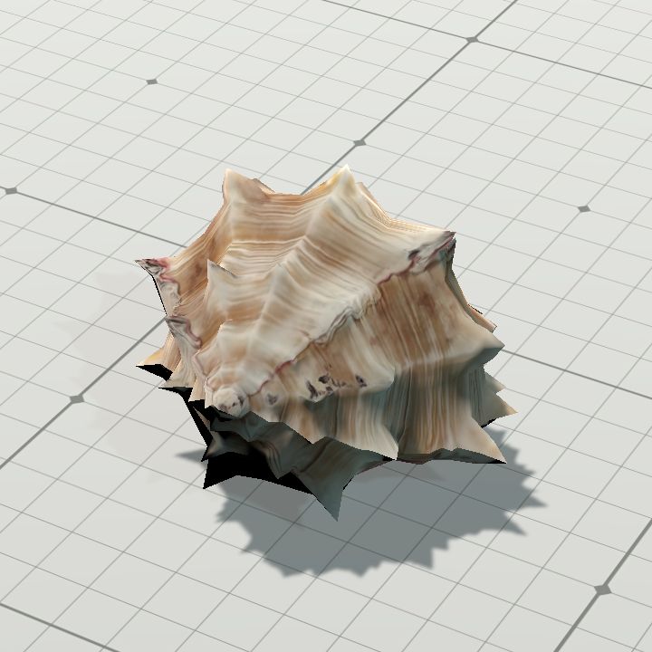 Shell3