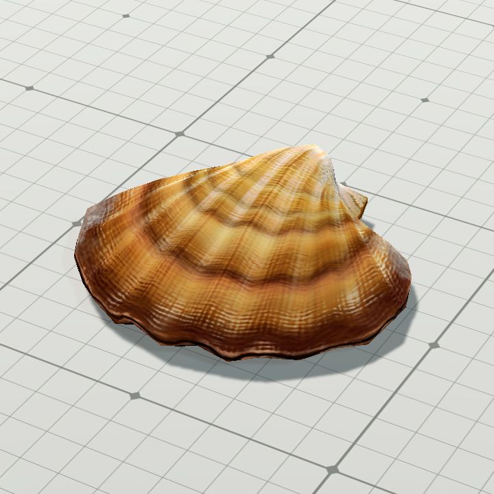 Shell4