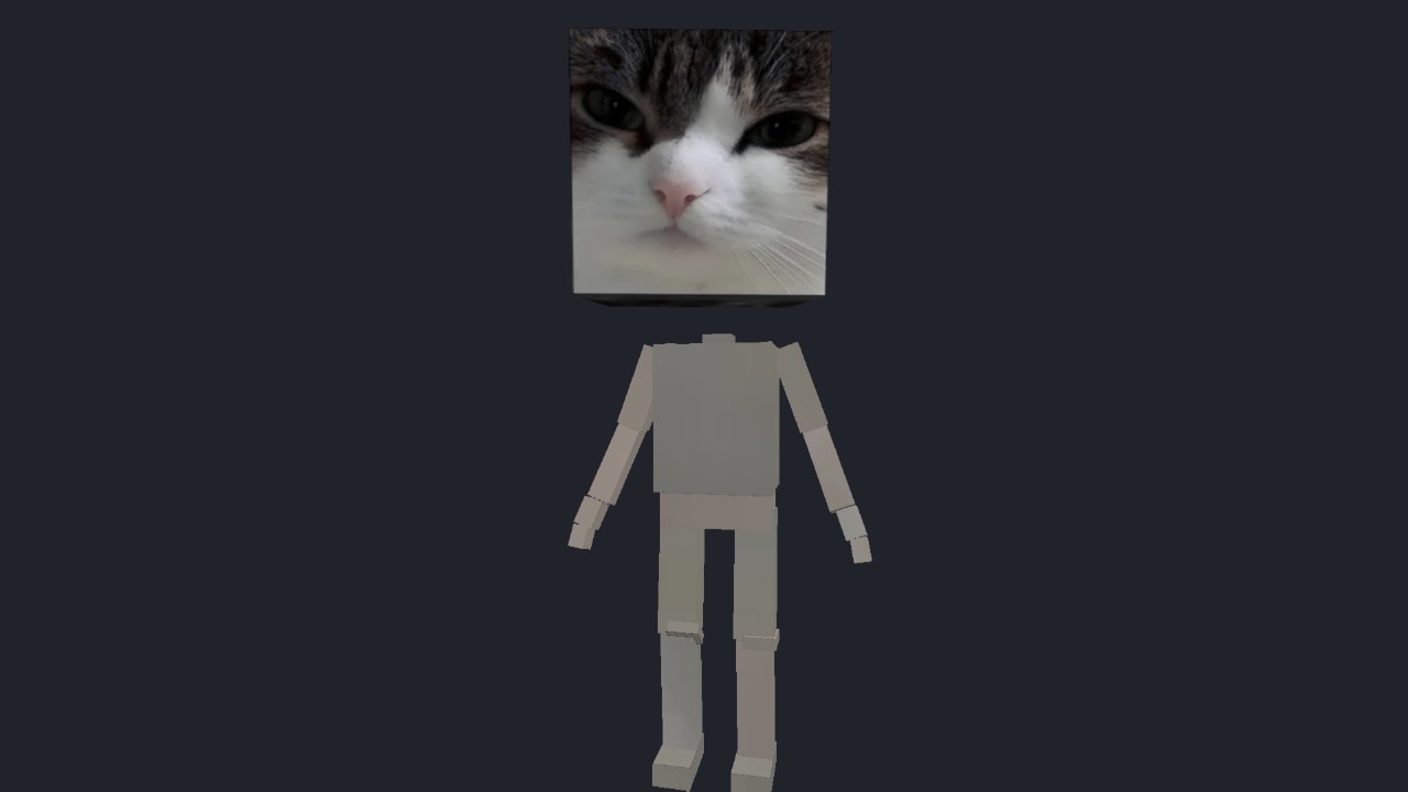 Wawa Cat