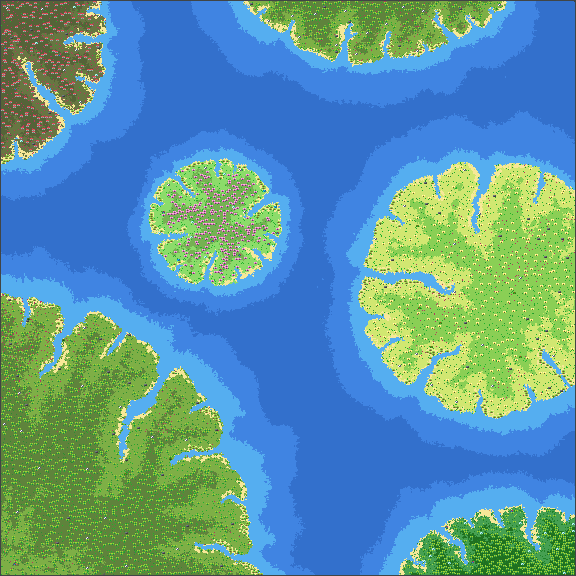 Water Lilies