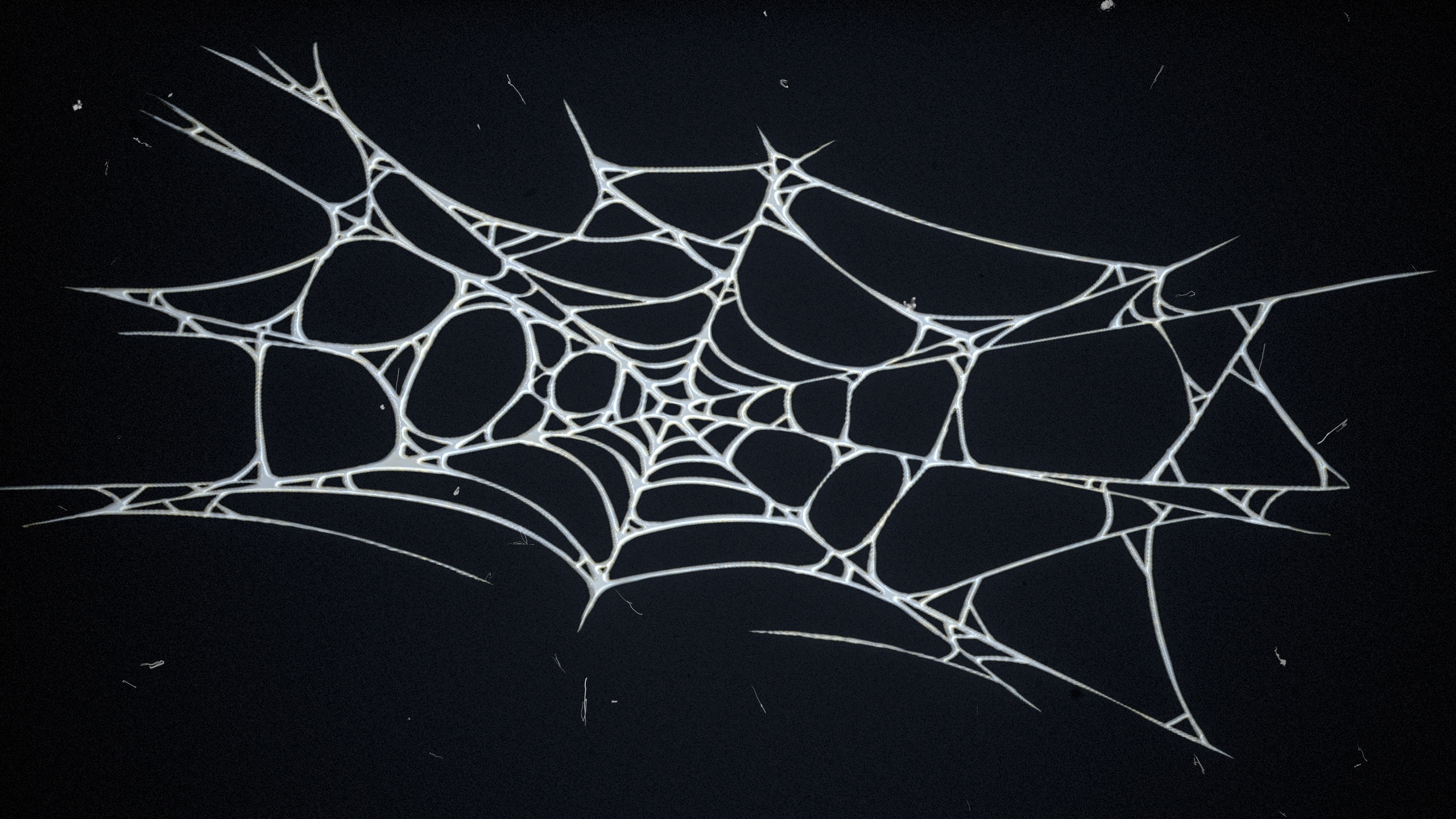 Spider Web Rug