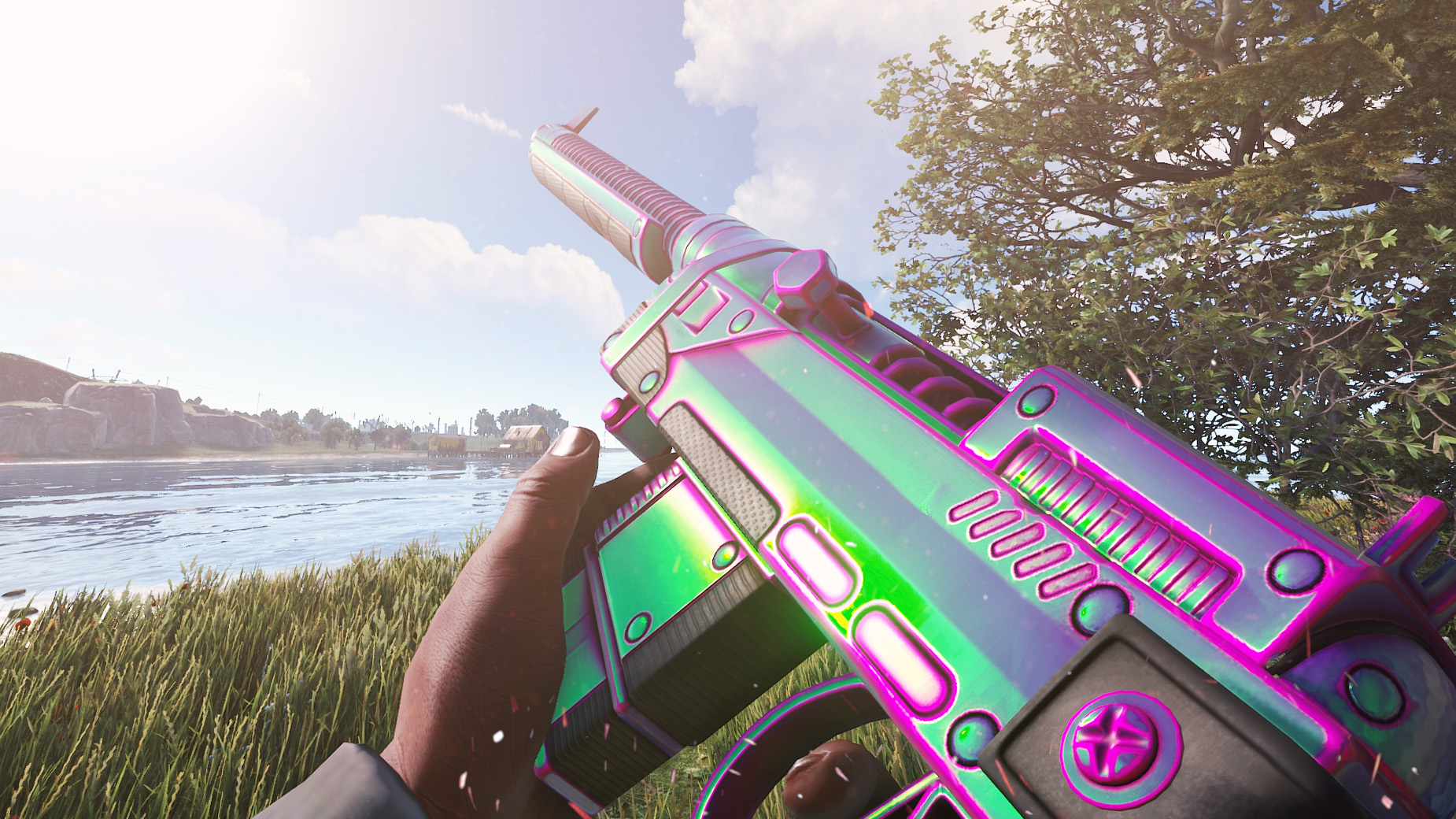 Chameleon SAR