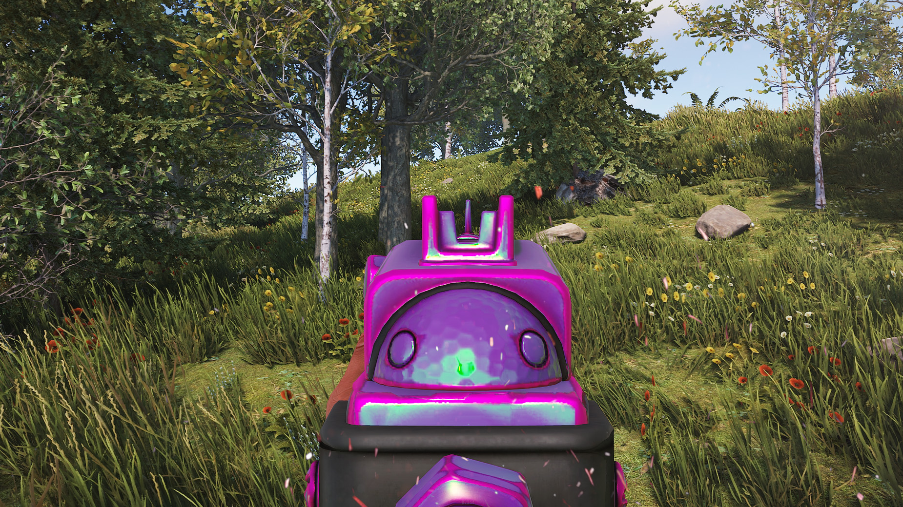 Chameleon SAR