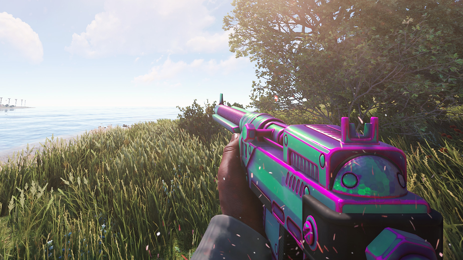 Chameleon SAR