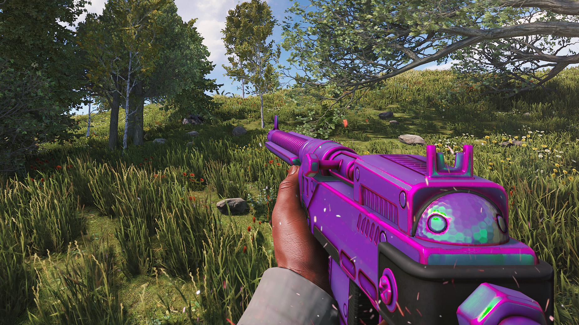 Chameleon SAR