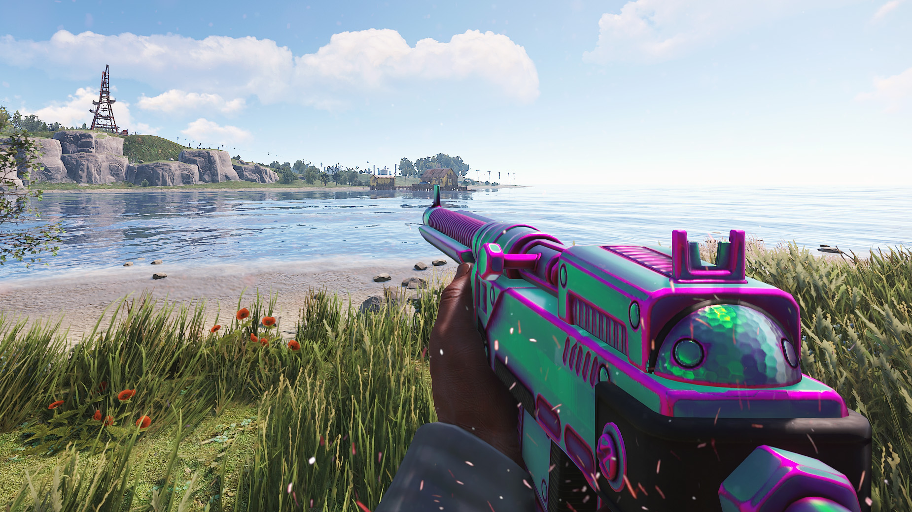 Chameleon SAR