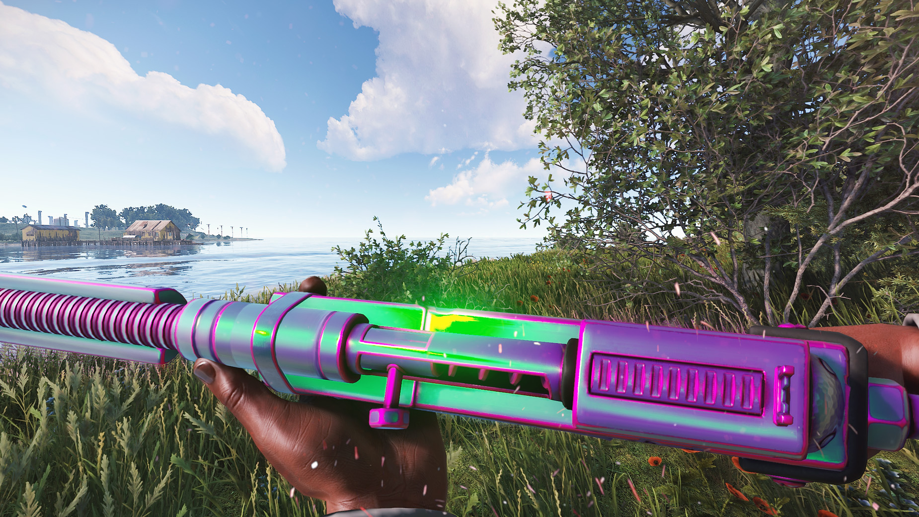 Chameleon SAR