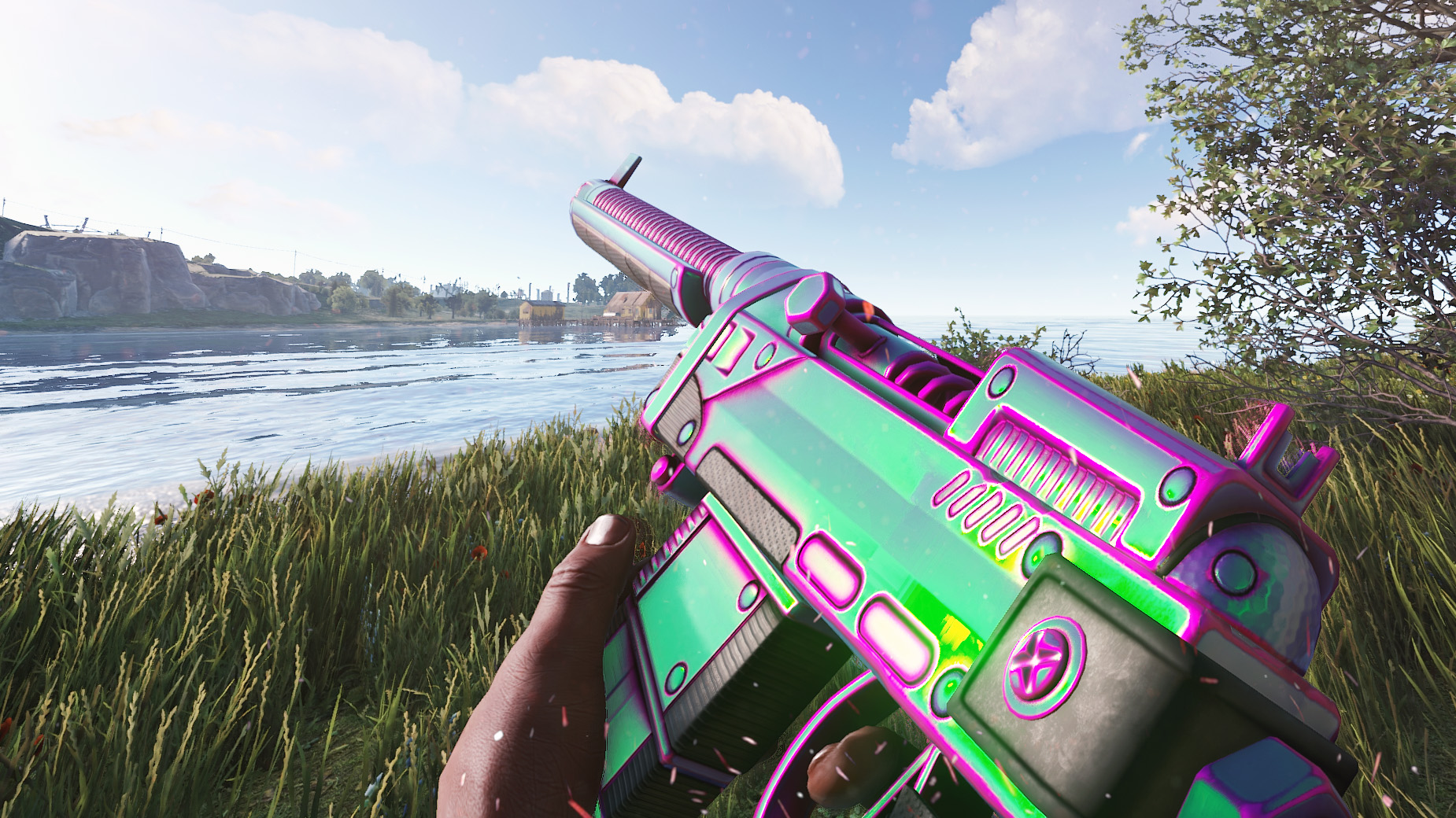 Chameleon SAR