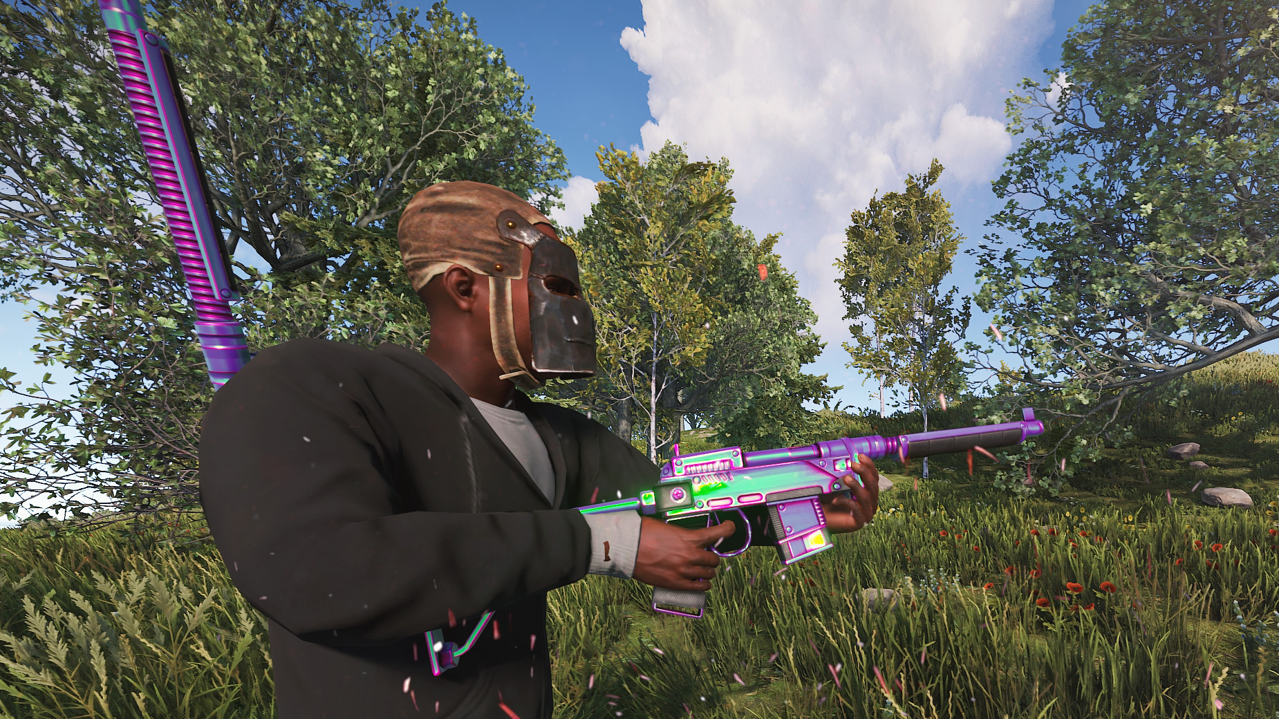 Chameleon SAR