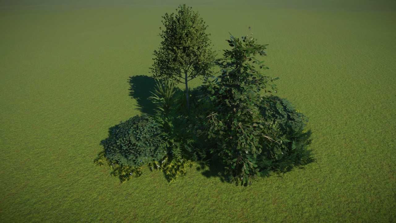 Temperate Filler Foliage