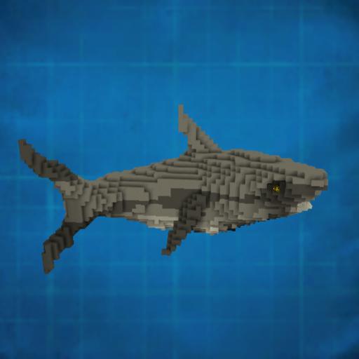 Adorany Reen's Grey Shark