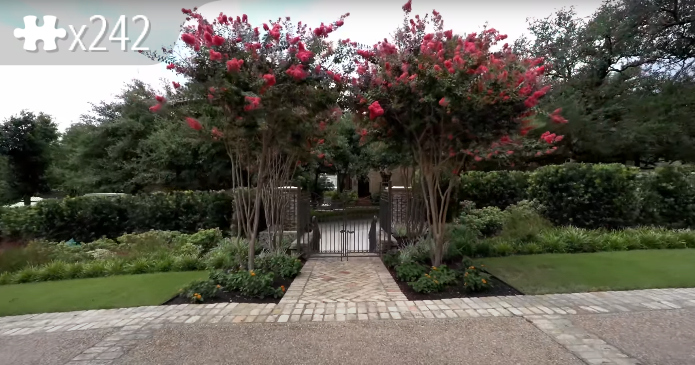 Rose Garden