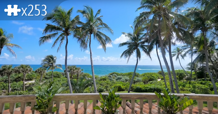 Palm Trees