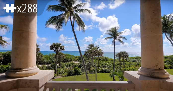 Palm Trees 1