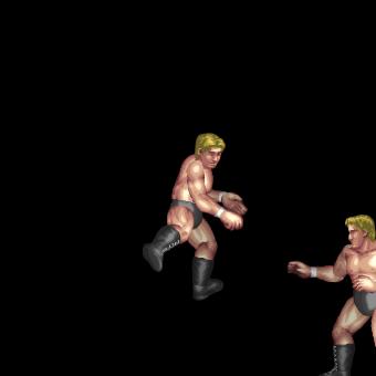Apron Cannonball (Rope Slingshot Outside the Ring)