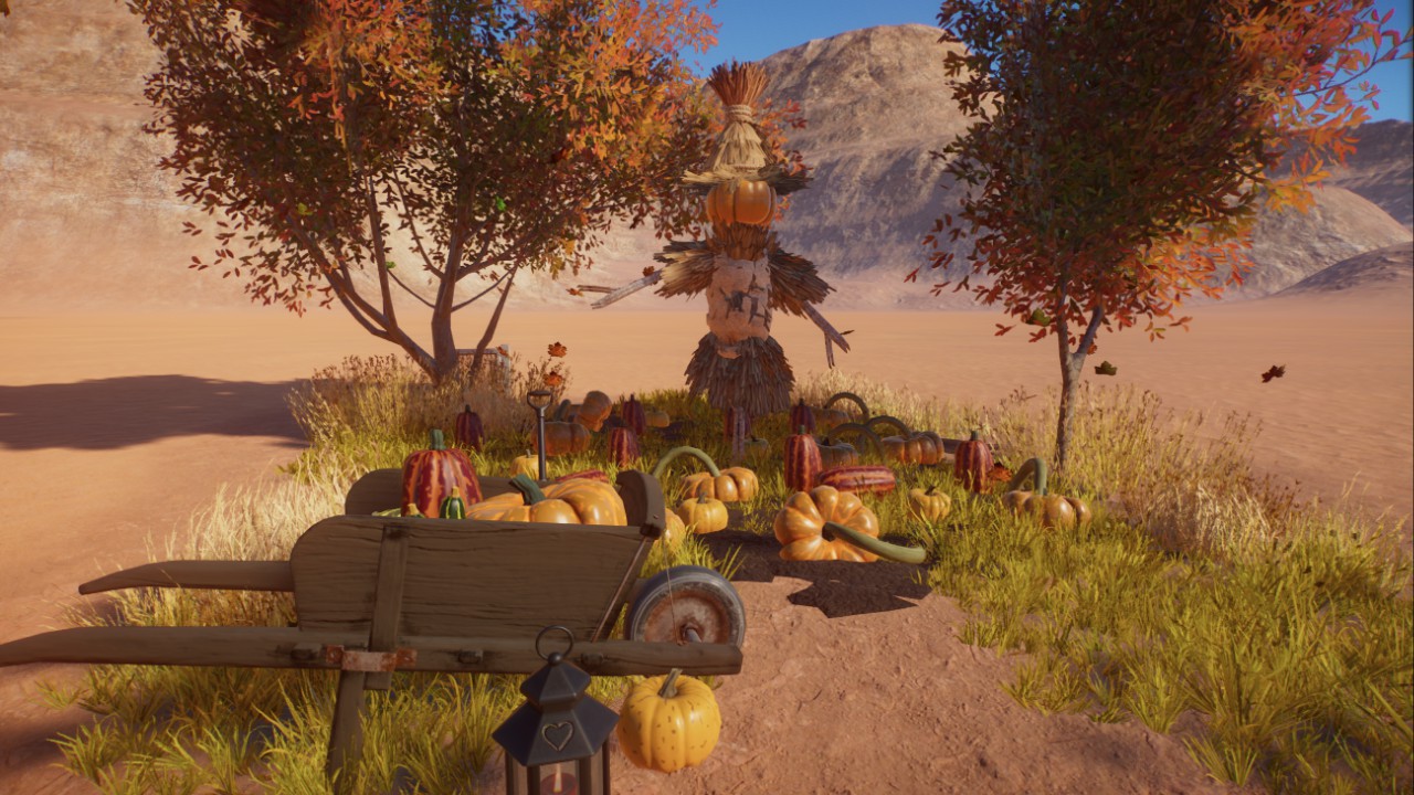 autumn scenery, pumpkin field, Herbstszene, Kürbisfeld