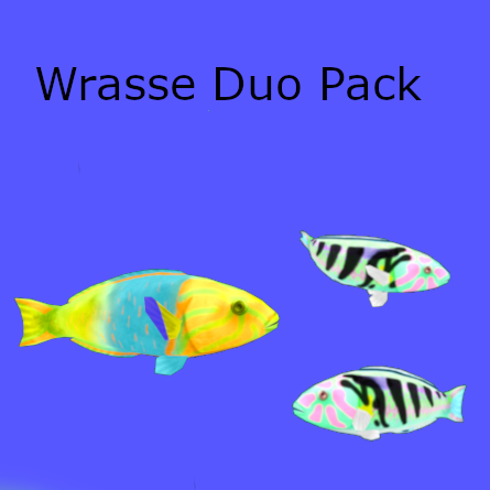Wrasse Duo Pack