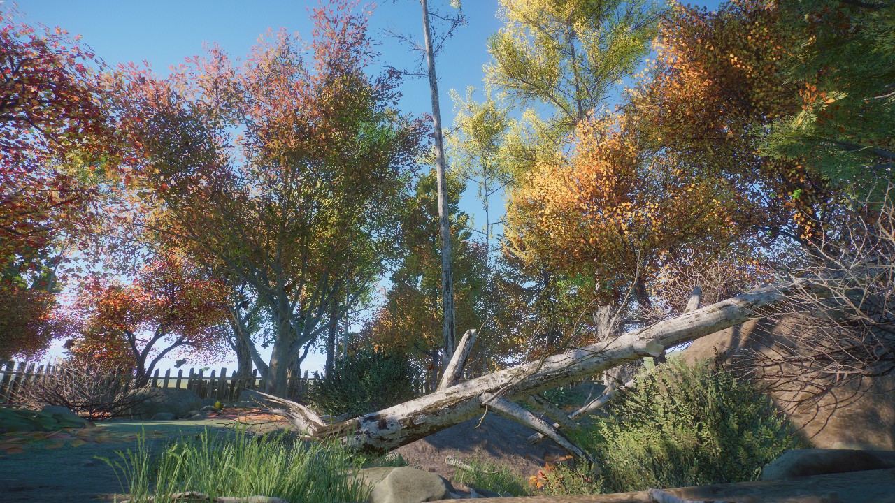 Autumn Scenery 3
