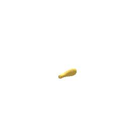 kitchen-pantry squash