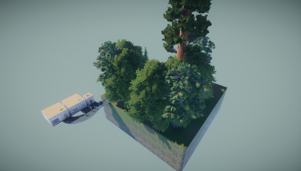 Grizzly Bear