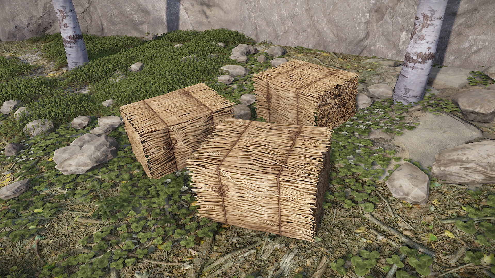 Hay Storage