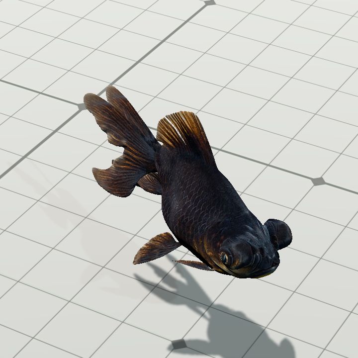 BlackGoldfish
