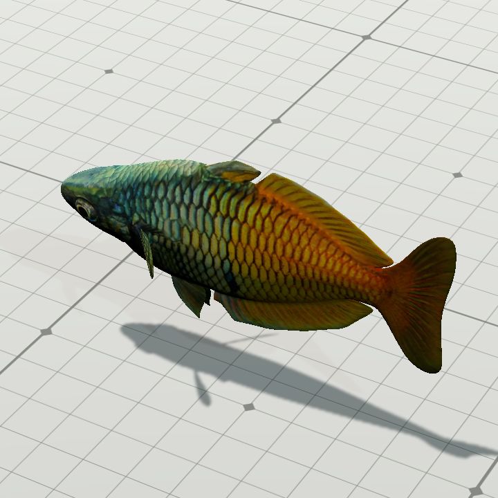 BoesemaRainbow