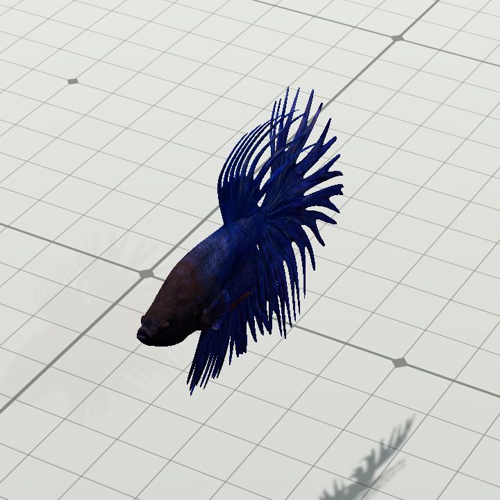 CrowntailBeta