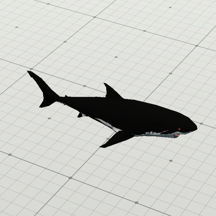 Shark