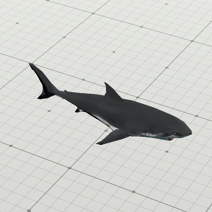Shark Grey