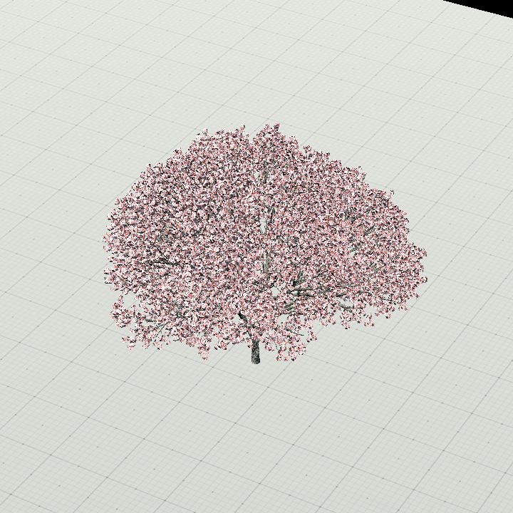 Flowering Tree
