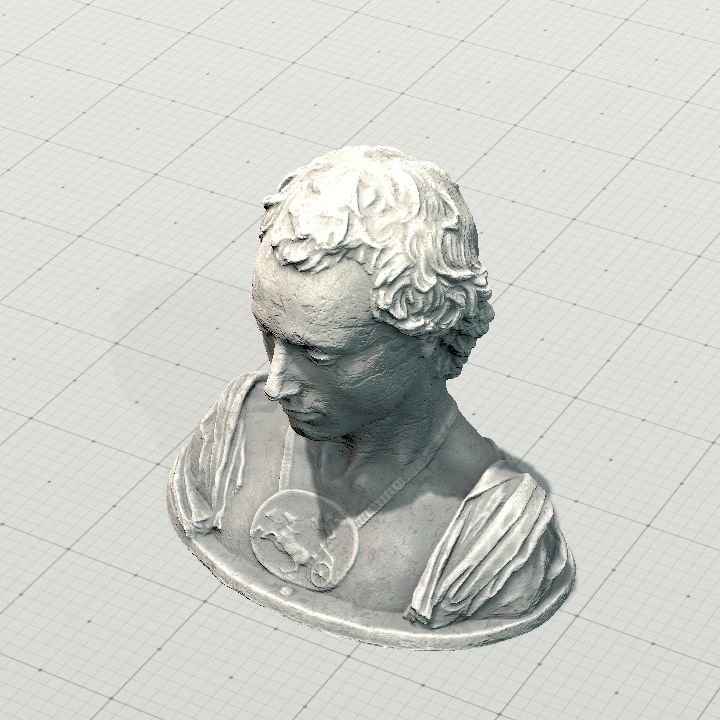 bust-of-a-young-man-with-a-medallion