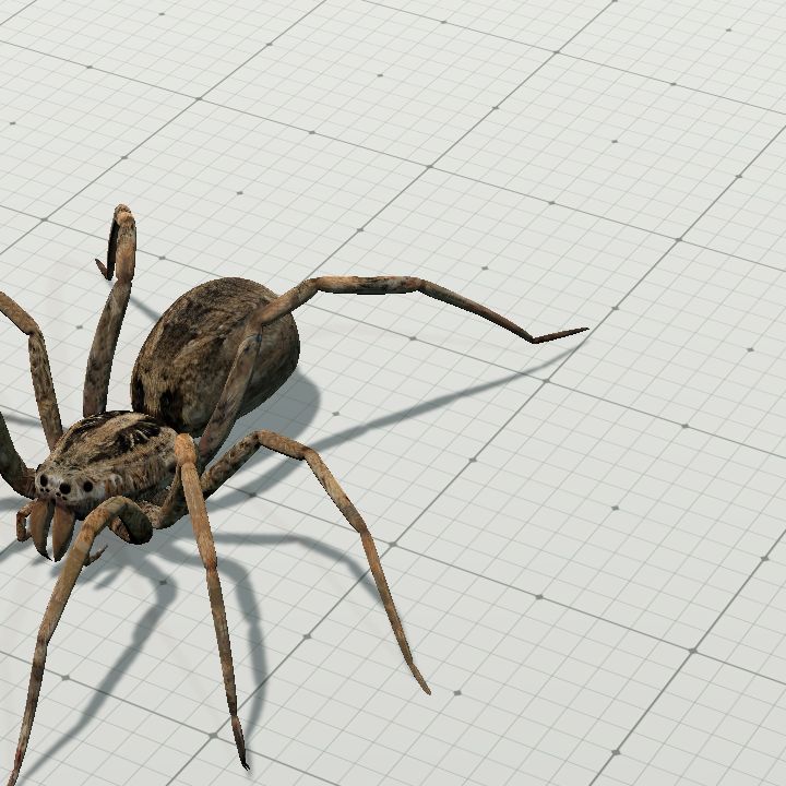 Animated Spider