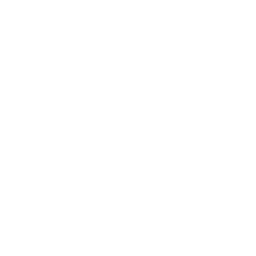 Ibex_Airways