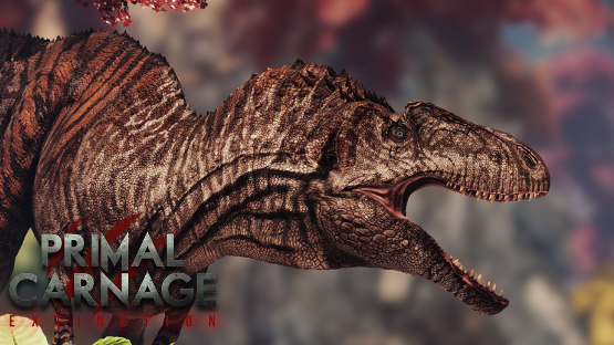 GINGIVIS Acro + Grimoire acro Skin