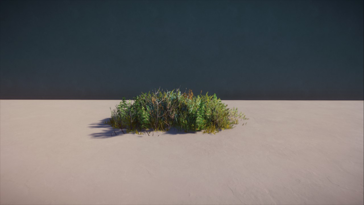 Bush/plant 2